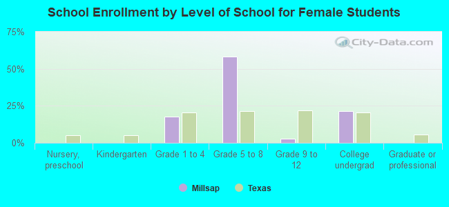 School Enrollment by Level of School for Female Students