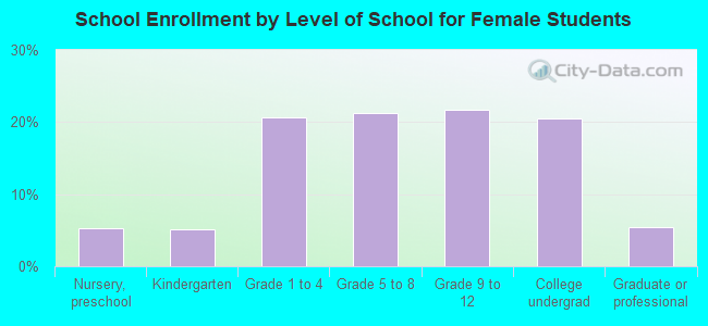 School Enrollment by Level of School for Female Students