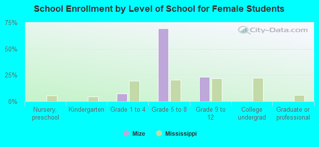 School Enrollment by Level of School for Female Students