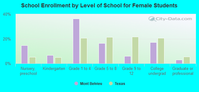 School Enrollment by Level of School for Female Students