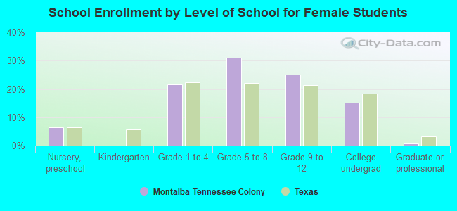 School Enrollment by Level of School for Female Students