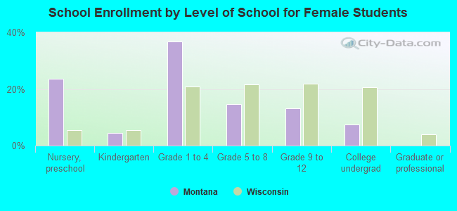 School Enrollment by Level of School for Female Students