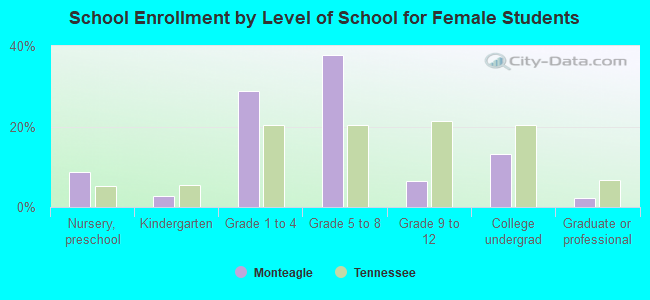 School Enrollment by Level of School for Female Students