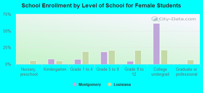 School Enrollment by Level of School for Female Students