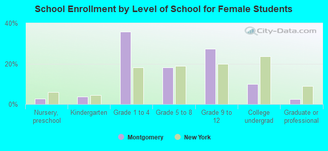 School Enrollment by Level of School for Female Students