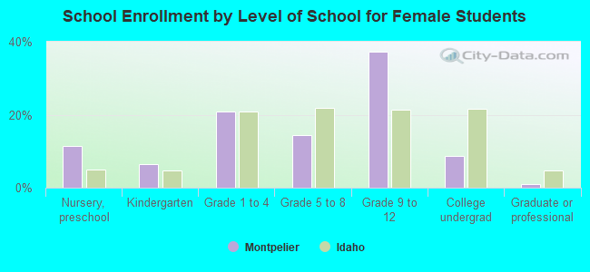 School Enrollment by Level of School for Female Students