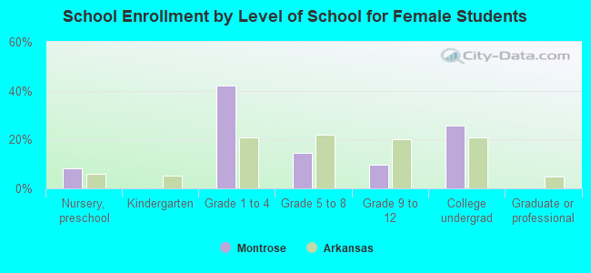 School Enrollment by Level of School for Female Students