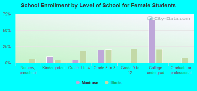 School Enrollment by Level of School for Female Students