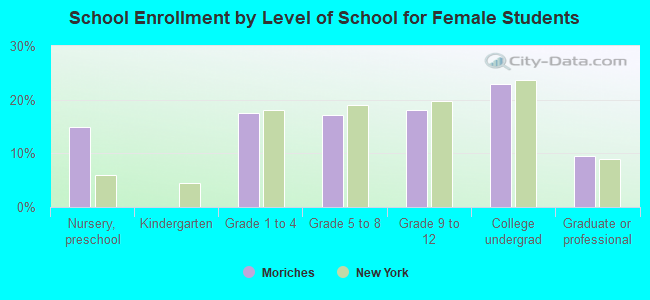 School Enrollment by Level of School for Female Students