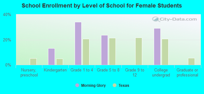 School Enrollment by Level of School for Female Students