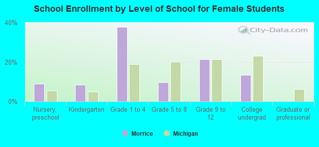 School Enrollment by Level of School for Female Students