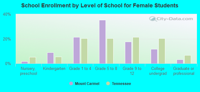 School Enrollment by Level of School for Female Students