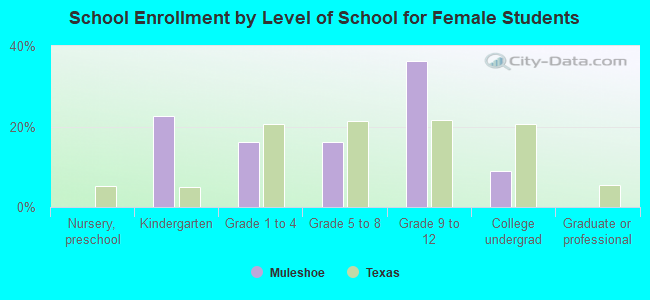 School Enrollment by Level of School for Female Students