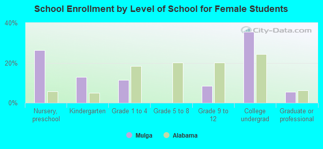 School Enrollment by Level of School for Female Students