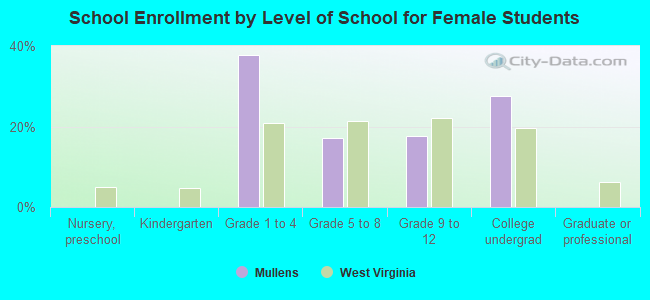 School Enrollment by Level of School for Female Students