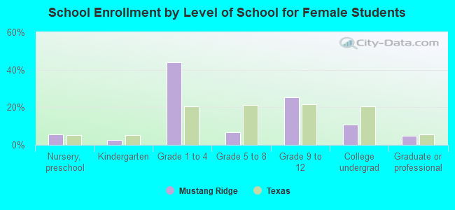 School Enrollment by Level of School for Female Students