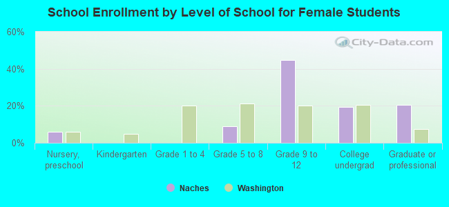 School Enrollment by Level of School for Female Students