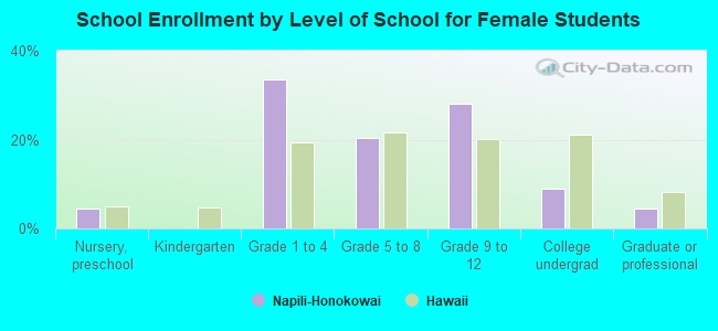 School Enrollment by Level of School for Female Students