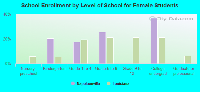 School Enrollment by Level of School for Female Students