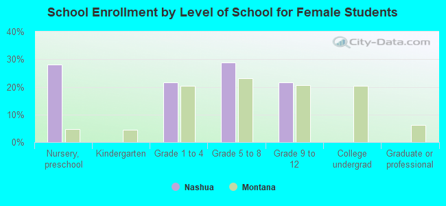 School Enrollment by Level of School for Female Students