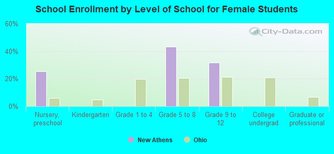 School Enrollment by Level of School for Female Students