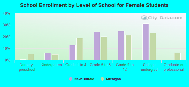 School Enrollment by Level of School for Female Students