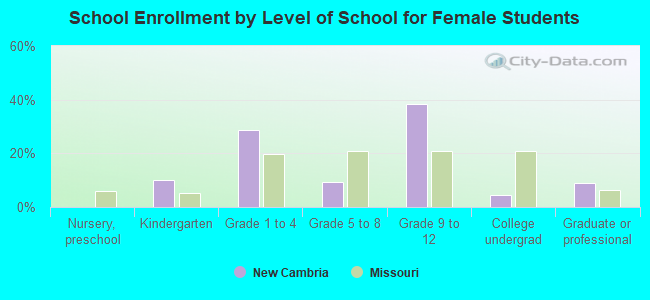 School Enrollment by Level of School for Female Students