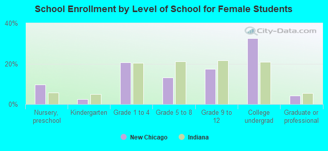 School Enrollment by Level of School for Female Students