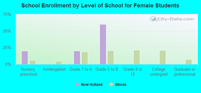 School Enrollment by Level of School for Female Students