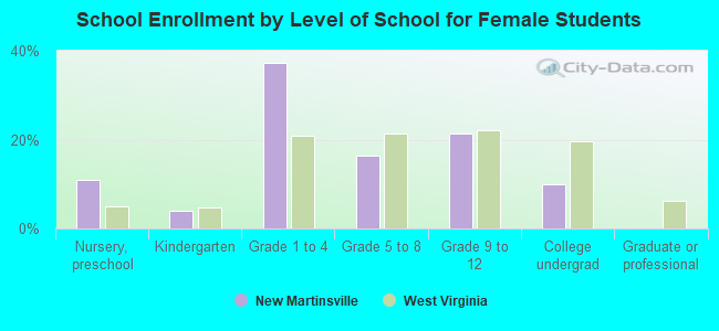 School Enrollment by Level of School for Female Students