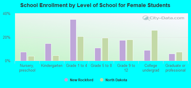 School Enrollment by Level of School for Female Students