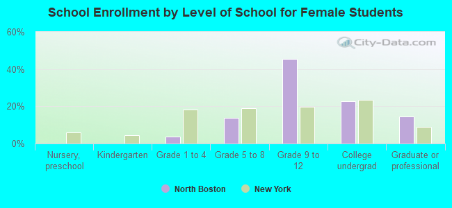 School Enrollment by Level of School for Female Students