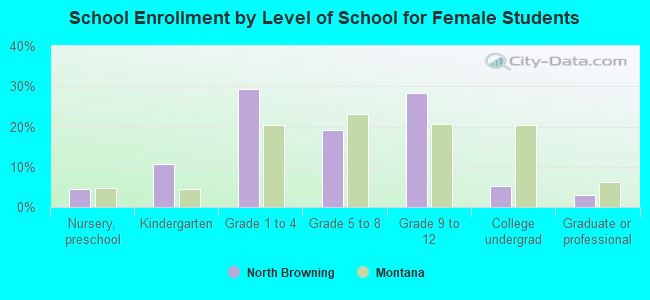 School Enrollment by Level of School for Female Students