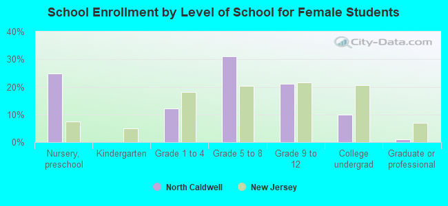 School Enrollment by Level of School for Female Students