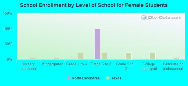 School Enrollment by Level of School for Female Students