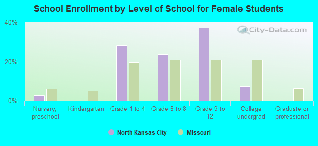 School Enrollment by Level of School for Female Students