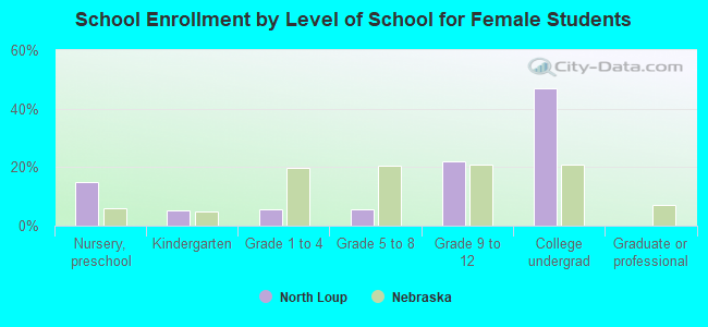 School Enrollment by Level of School for Female Students