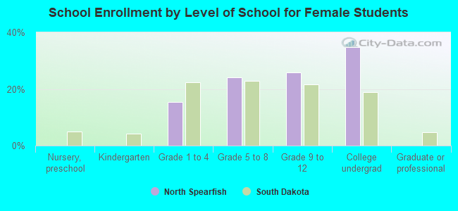 School Enrollment by Level of School for Female Students