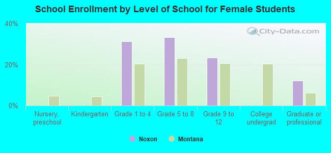 School Enrollment by Level of School for Female Students