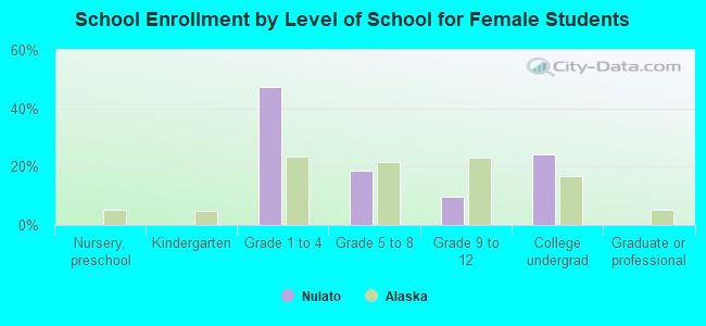 School Enrollment by Level of School for Female Students