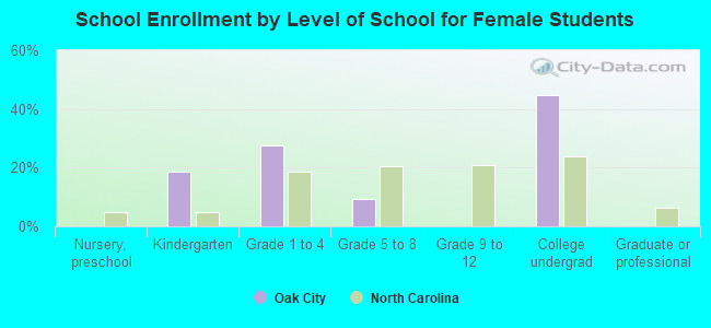 School Enrollment by Level of School for Female Students