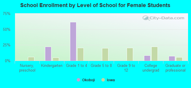 School Enrollment by Level of School for Female Students