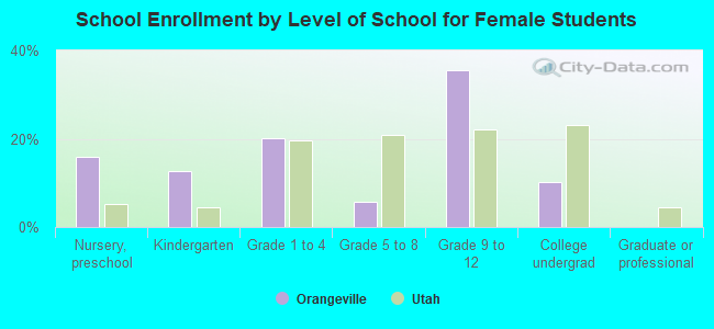 School Enrollment by Level of School for Female Students