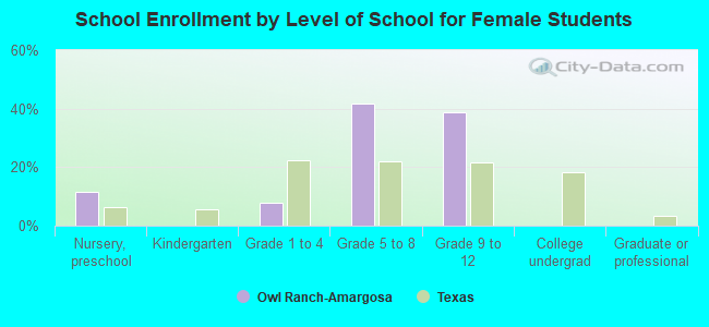 School Enrollment by Level of School for Female Students