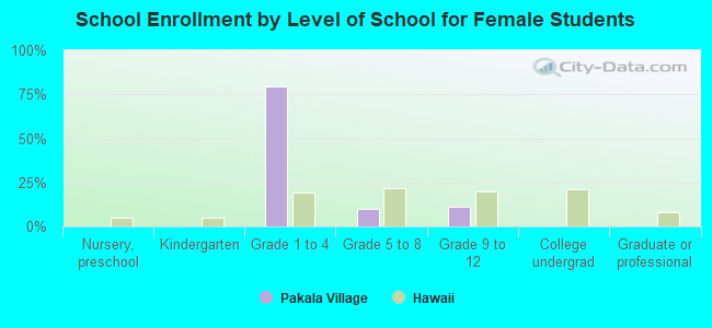 School Enrollment by Level of School for Female Students