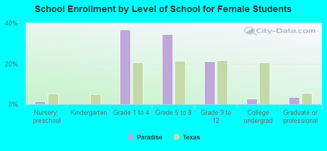 School Enrollment by Level of School for Female Students