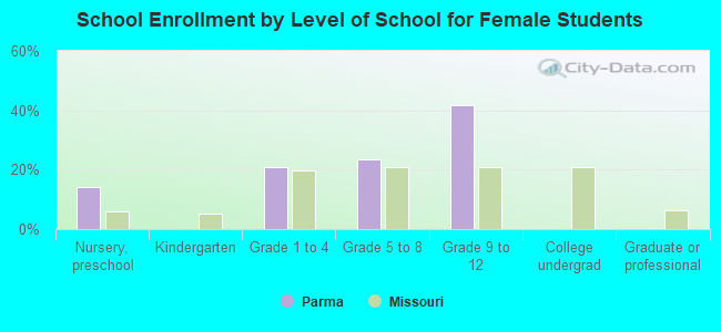 School Enrollment by Level of School for Female Students