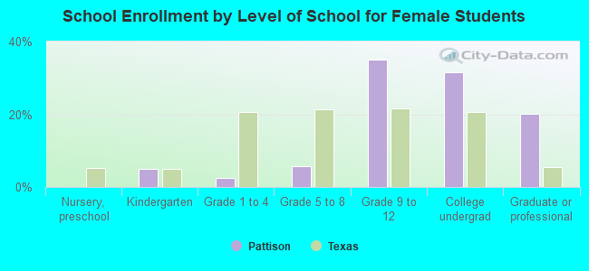 School Enrollment by Level of School for Female Students