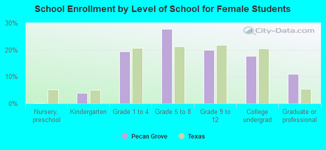 School Enrollment by Level of School for Female Students