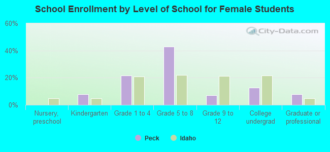 School Enrollment by Level of School for Female Students